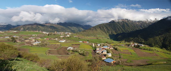 Georgia landscape