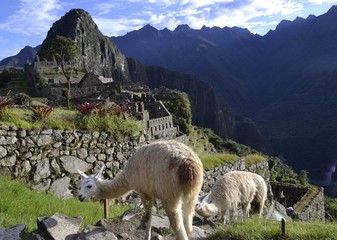 Machu Pichu