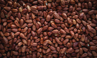 Close-up of raw hazelnuts, top view