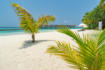 Fototapeta premium Somewhere in the Maldives.