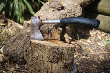 Hand axe chopping firewood outside in Autumn