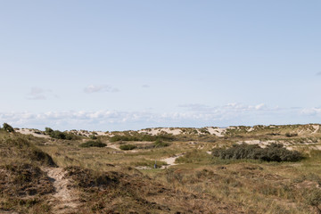 blick auf die hügel der sand dünen auf der norsee insel borkum fotografiert während einer besichtigungstour auf der norsee insel borkum mit weit winkel objektiv