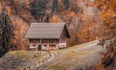 Haus im bergen wald