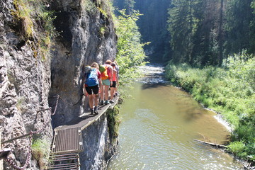 Trekkers on metal ladder in Canyon Prielom Hornadu in Slovenský raj (Slovak Paradise National Park),Slovakia