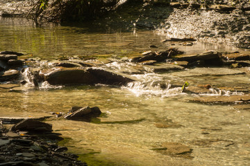Small creek at low water in late summer