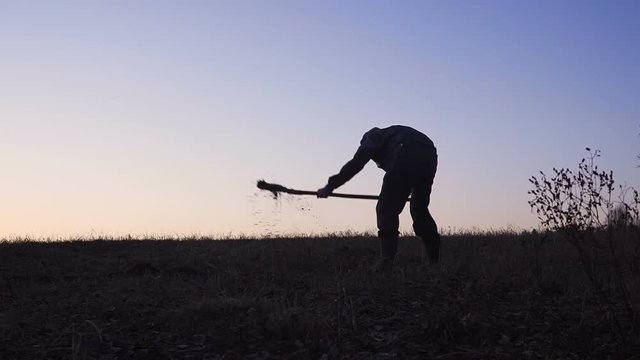 The silhouette of the workers shoveling the soil with a spade in the evening.