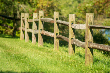 Split rail wood fence in park