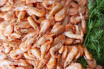 Shrimp. Shrimps lie on a plate. Boiled ready-to-eat shrimp. A large dish of small shrimps