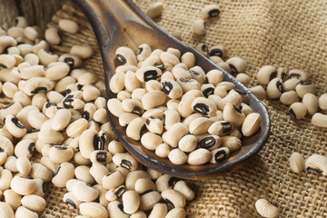 white bean grains on rustic background - Phaseolus