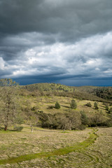 Fototapeta na wymiar Hills with trees and bushes under dark cloudy sky