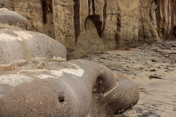 Fototapeta premium Sci-fi other worldly dystopian background of folds of rounded cement concrete with sandstone wall dead ice plant growing in background