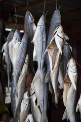 Obraz premium Whole dried fish hanging for sale at a fish market in Ukraine