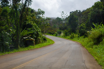 Fototapeta na wymiar Brazilian Nature Highway