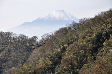 初冬の頃の富士山