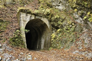 Fototapeta premium 玄倉林道 第八号隧道