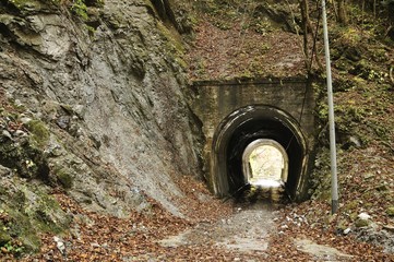 玄倉林道のトンネル