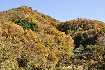 宮ヶ瀬湖畔の紅葉