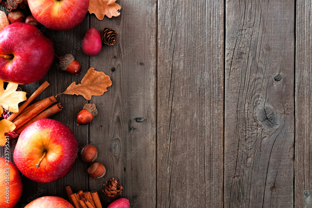 Poster autumn side border of apples and fall ingredients on a rustic wood background with copy space