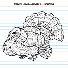 Turkey Thanksgiving - Hand Drawing Illustration - Digital Coloring - Vector Eps 10