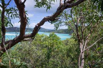 Whitsundays, grande barrière de corail, Queensland Australie