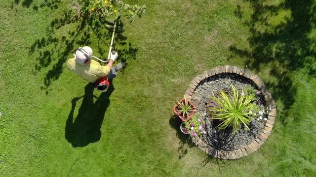 Gardener mows grass under trees in garden