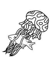 cool fisch gefangen essen fressen qualle schwimmen unterwasser ekelig glibbrig schön tauchen taucher tier fangarme comic cartoon clipart