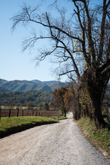 gravel road in the smoky mountains