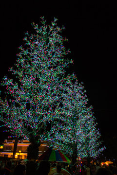 neon christmas tree, &aacute;rvore de natal neon