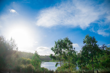 Pond nearby Brisbane city in Queensland, Australia. Australia is a continent located in the south part of the earth.