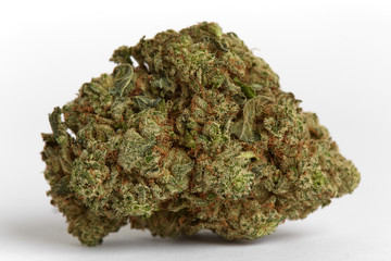 Close up macro photo of recreational and medical prescription hybrid strain  wedding cake flower on...