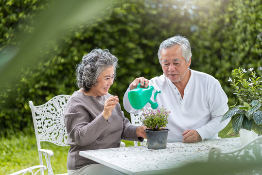 Asian Senior Couple Enjoying With Planting Flower.