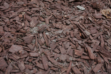 Wood Chips Scattered on the Ground