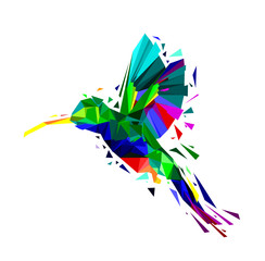 Isolated of Low poly colorful Hummingbird on white back ground,animal geometric,party birds concept,vector.	