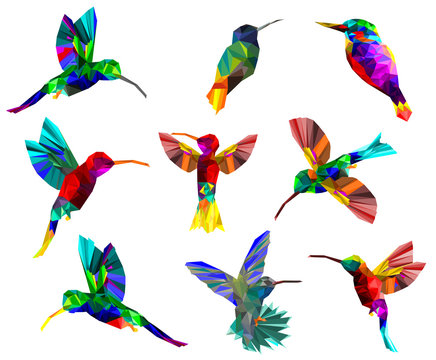 Pattern with Low poly colorful Hummingbird on white back ground,Isolated animal geometric, collection of birds concept,vector.	