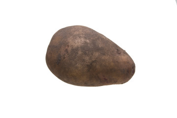 Fototapeta na wymiar potato isolated on white background