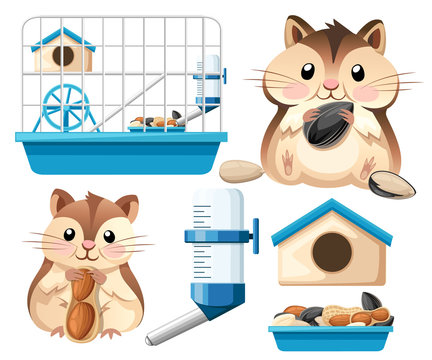 Hamster icon collection. Cute hamster sit and holding a sunflower seed, and nut. Hamster cage, wheel and automatic drinker. Cartoon character design. Flat vector illustration on white background