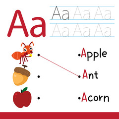 worksheet vector collection design