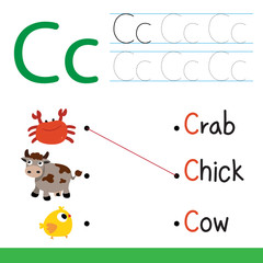 worksheet vector collection design