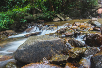 stream in the forest