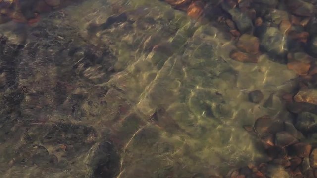 summer view of the background of the river bottom. rocks and algae at the bottom of the river through clear water.