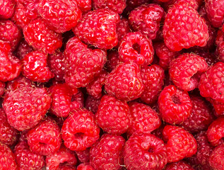 Fresh ripe raspberry as food background.