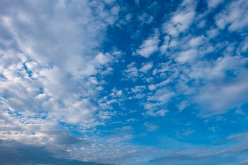 The sky and cloud in  morning