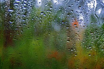 Drops of rain on a window. Blur autumn yellow-green forest in background. Autumnal rainy landscape.