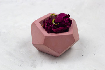 dry red roses in a concrete pot