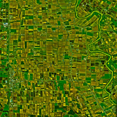 北海道　田んぼ