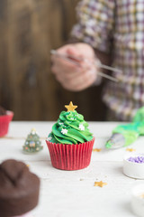Cupcakes for christmas