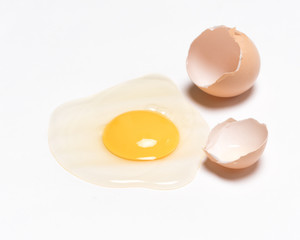 Egg on white background