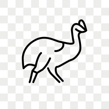recommend clip art: Cassowary vector icon isolated on transparent background, Cassowary logo design