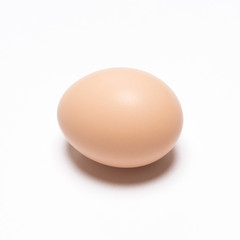 Egg on white background