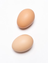 Egg on white background